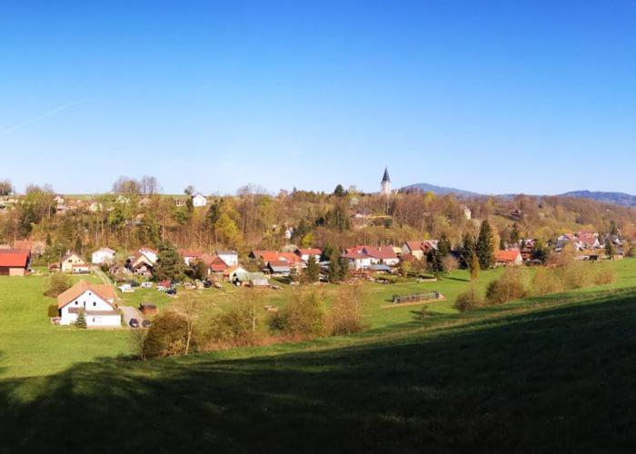 Unsere Ferienwohnung Stefan Im Riesengebirge! Dolni Lanov Extérieur photo